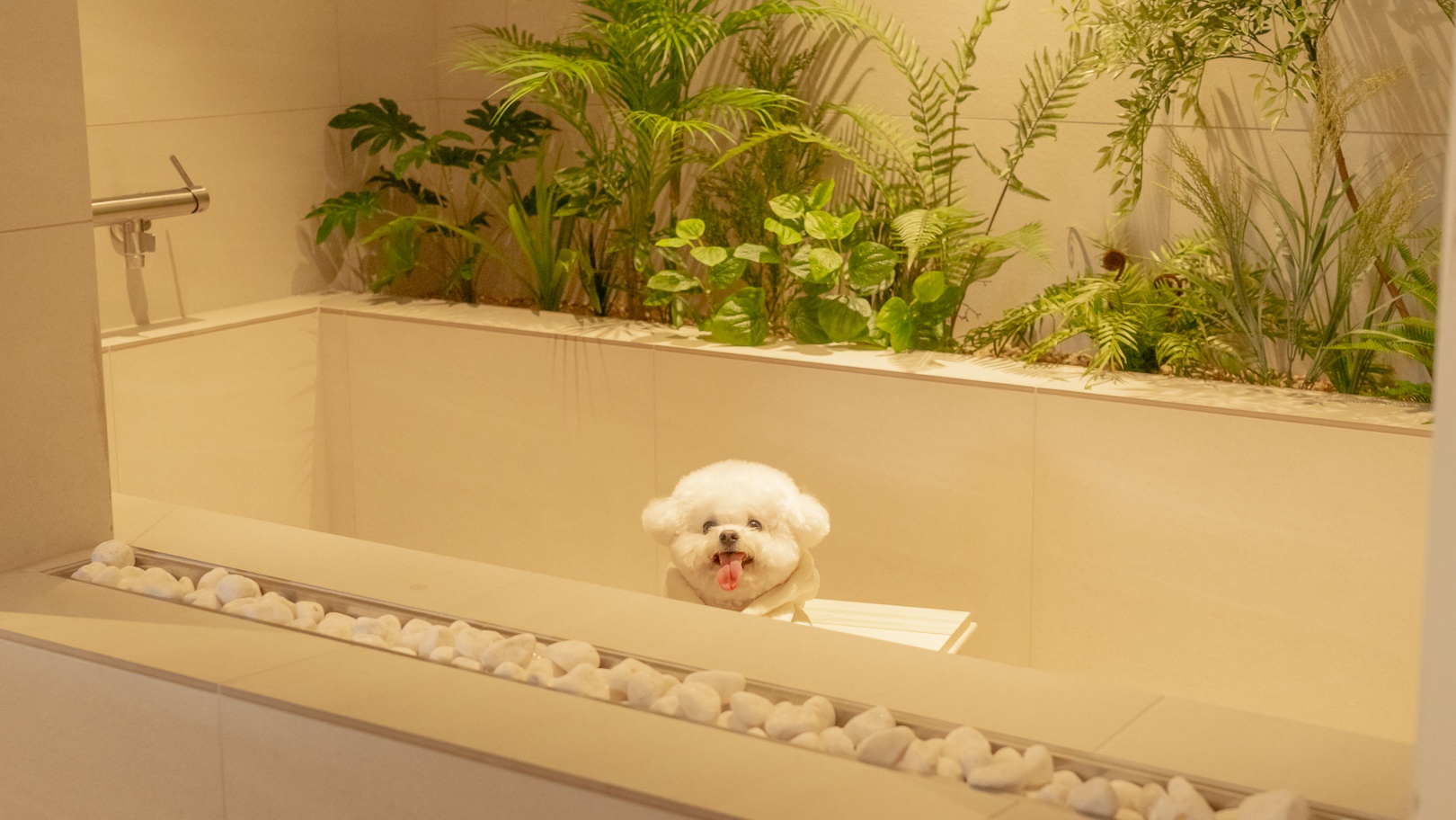Maison de on U 첨단점  객실 이미지